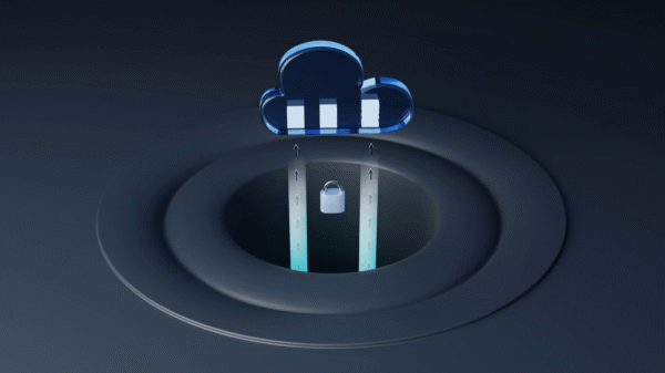 Malware Removal Service